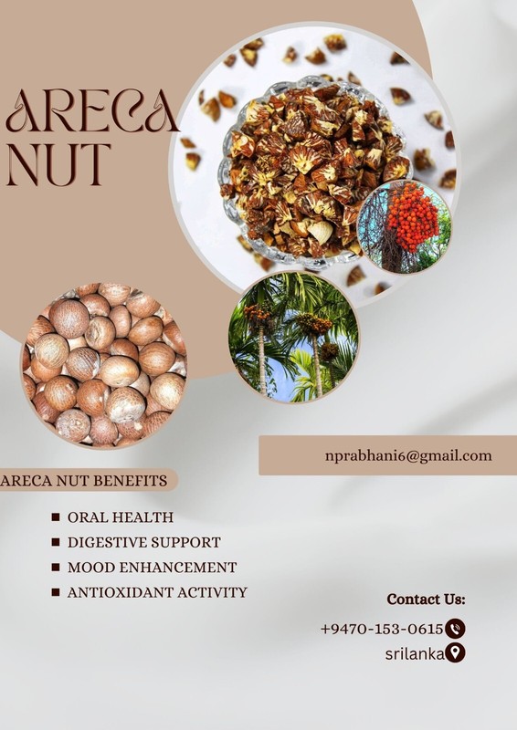 dryed Areca nut free shipping 100% srilanka