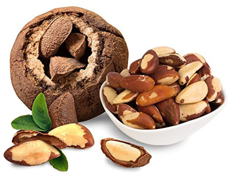 Premium Wild Harvested Raw Brazil Nuts, 1 Lb (16Oz) – High Selenium, Batch Teste gallery