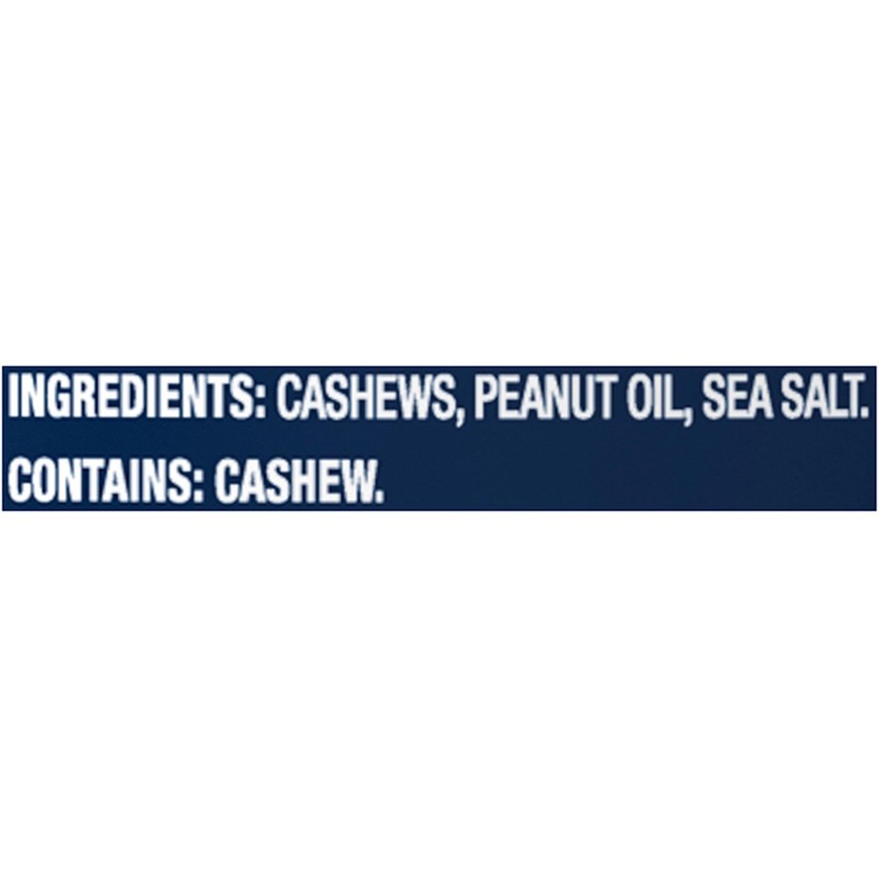 Lightly Salted Cashews Roasted Nut Halves Pieces Plant Protein 8oz Canister Part gallery