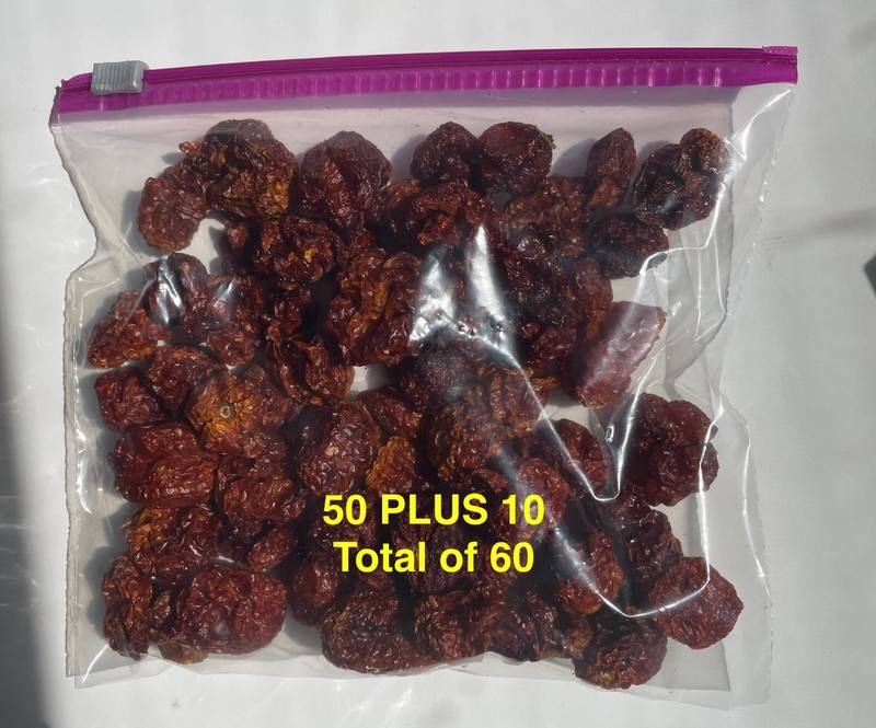 Carolina Reaper 50 plus 10 dried pepper pods gallery