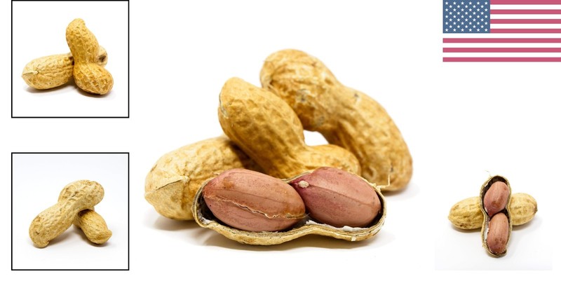 Sky Raw Virginia Peanuts in Shell - 2.5lb Squirrel Snack gallery