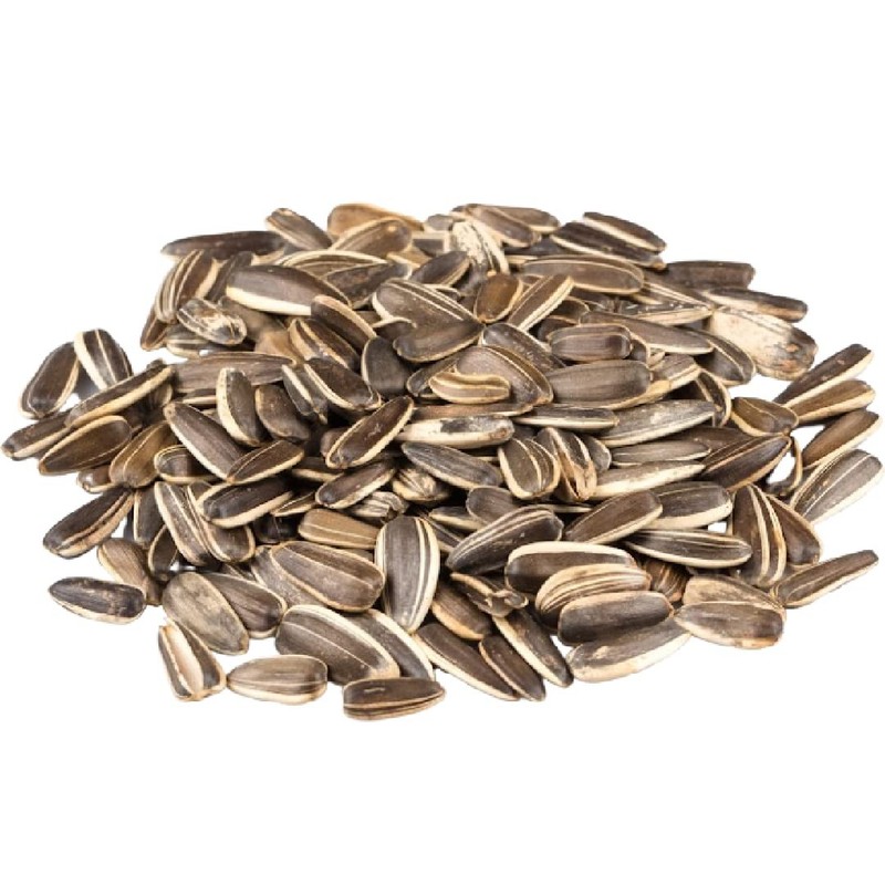 Gerbs Jumbo Unsalted Sunflower Seeds, 2 LBS – Allergen Free NON GMO