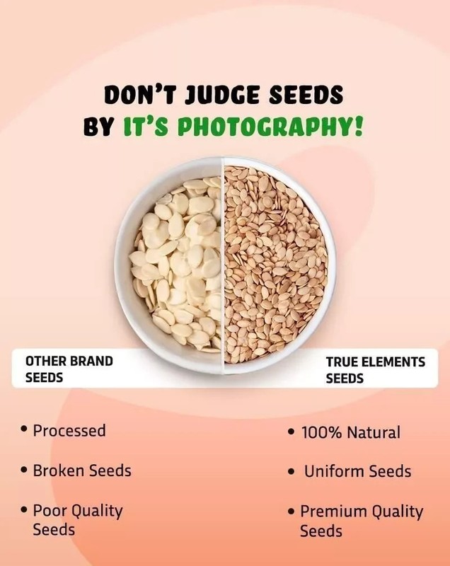Watermelon Seeds 250gm High in Protein | Raw Watermelon Seeds for Eating gallery
