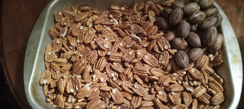 2023 Crop Shelled Halves N Pieces. 3 lbs