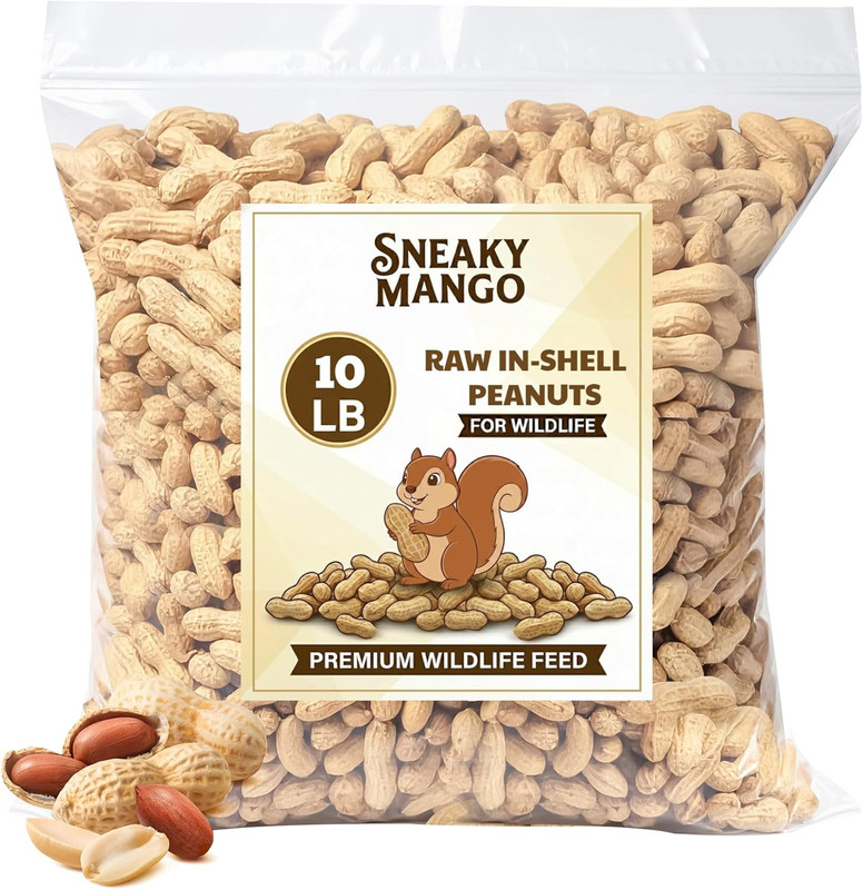 – Raw Peanuts in Shell – 10 Pounds – All-Natural Food for Squirrels, Deer, Birds