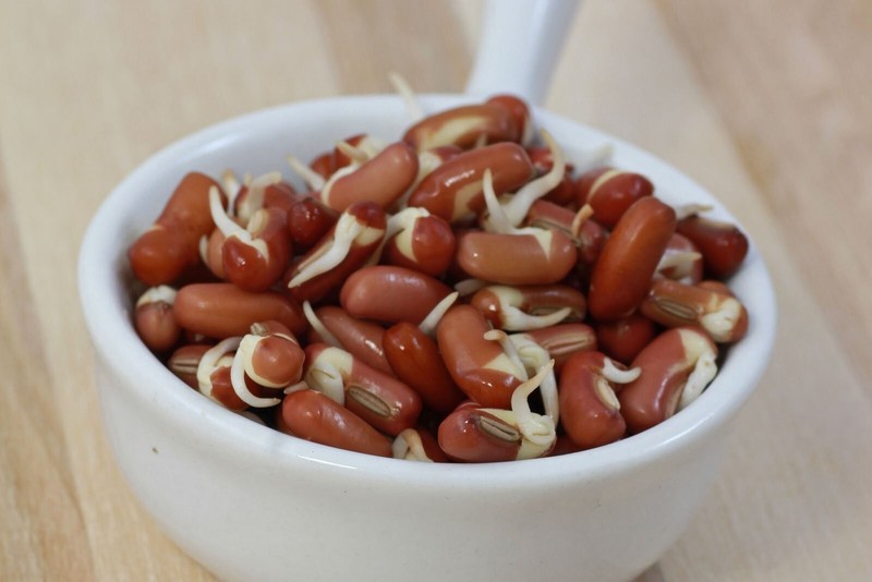 Organic Adzuki Beans - Sproutable, Kosher, Raw, Vegan – Non-GMO gallery