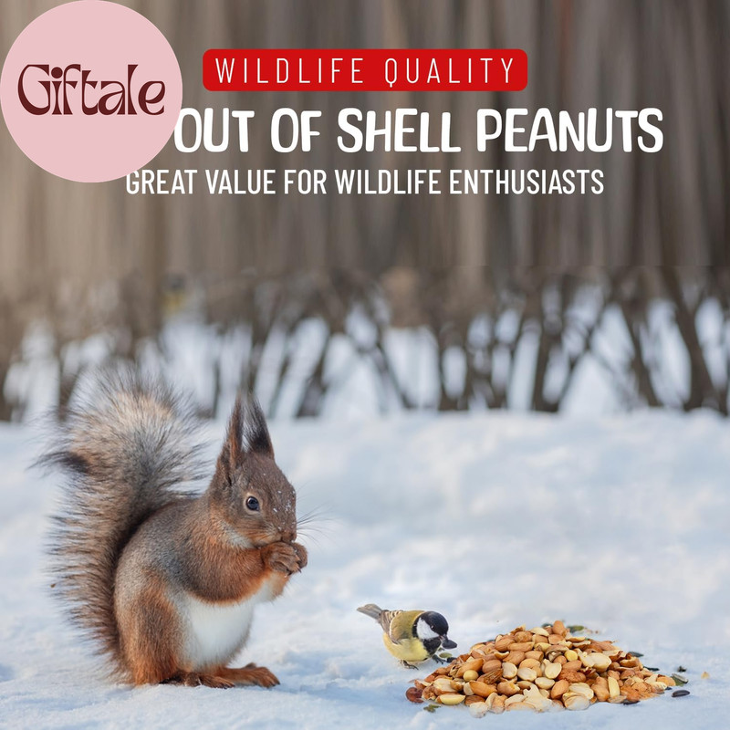 Raw Out of Shell Peanuts - 10 Pounds - Shelled Peanuts for Birds – Wildlife Qual gallery