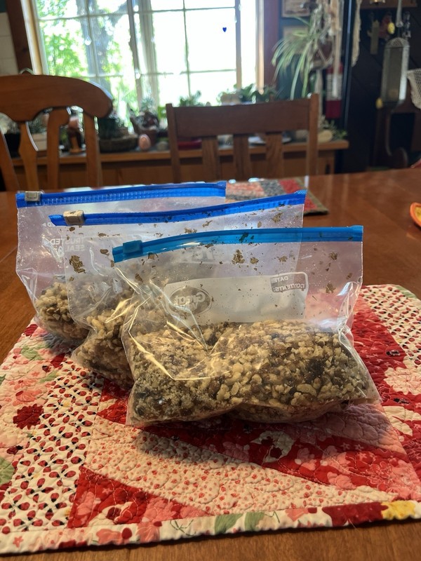 Black Walnuts in Resealable Bags