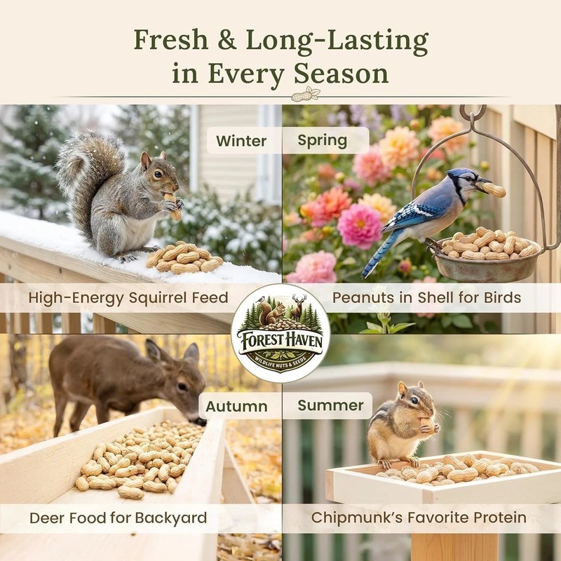 Raw Peanuts for Squirrels Peanuts in Shell for Birds, Deer & Wildlife USA Grown gallery