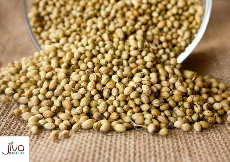 Jiva Organics Organic Coriander Seeds Whole 1.25 Pound Bulk Bag - Non-Gmo gallery