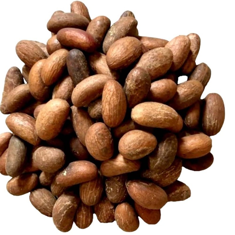 FOM~S Bitter Kola Nut Garcinia AKI-ilu Mijin-goro Orogbo Efiat 227g 8oz Zero ... gallery