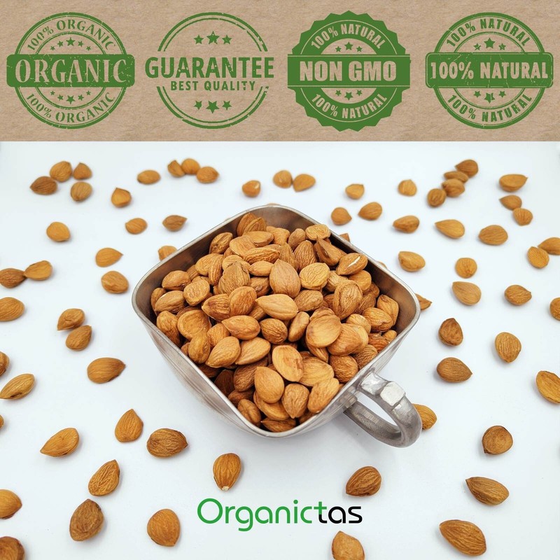Premium Quality BITTER APRICOT SEEDS for Sale – 200 g / 7.10 oz. TOP