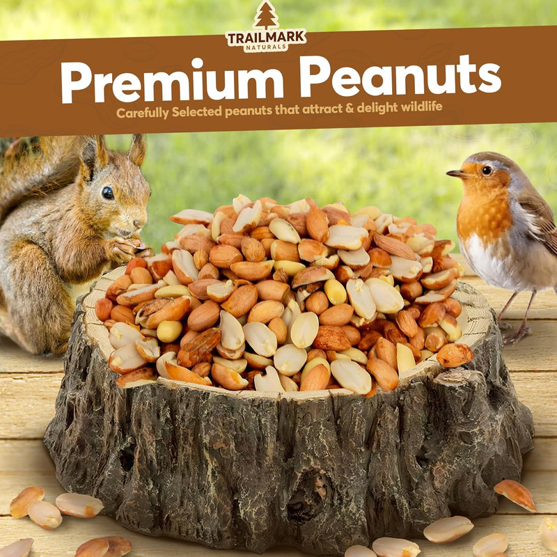 20 LB - Raw Shelled Peanuts for Squirrels, Out of Shell Peanuts for Birds and Wi gallery