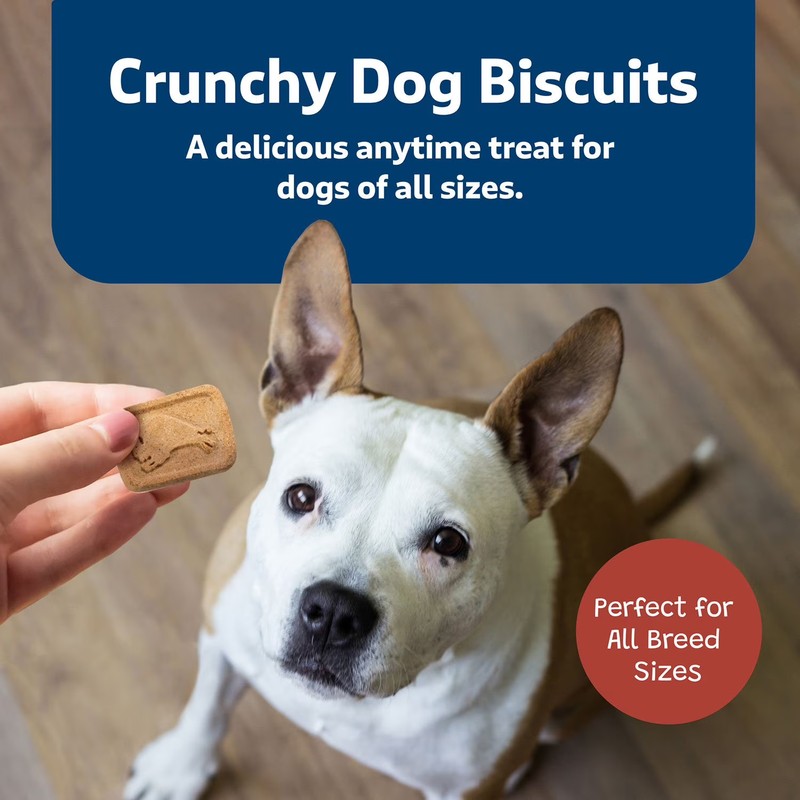 BLUE Buffalo Health Bars Crunchy Dog Treat Biscuits, Bacon, Egg & Cheese(5 lbs.) gallery