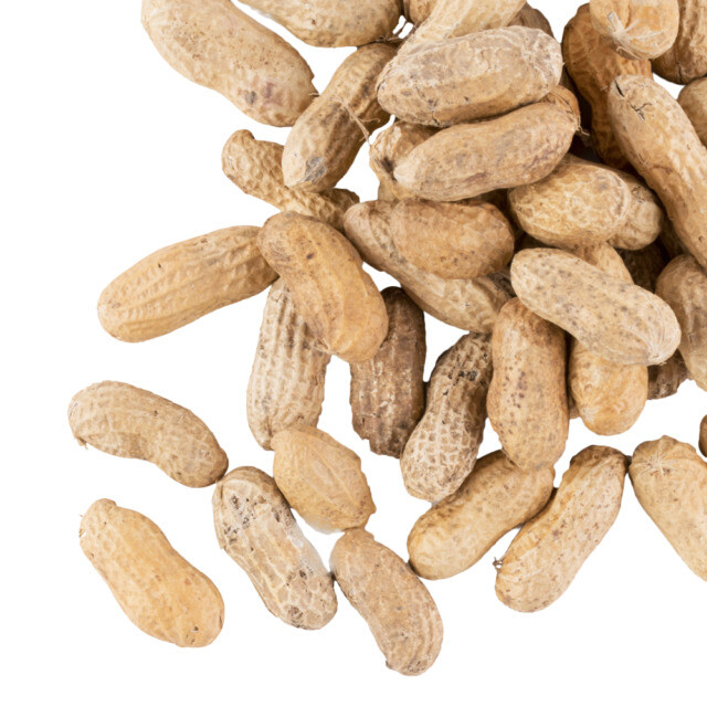 Hampton Farms 5 lb. Roasted In-Shell Peanuts