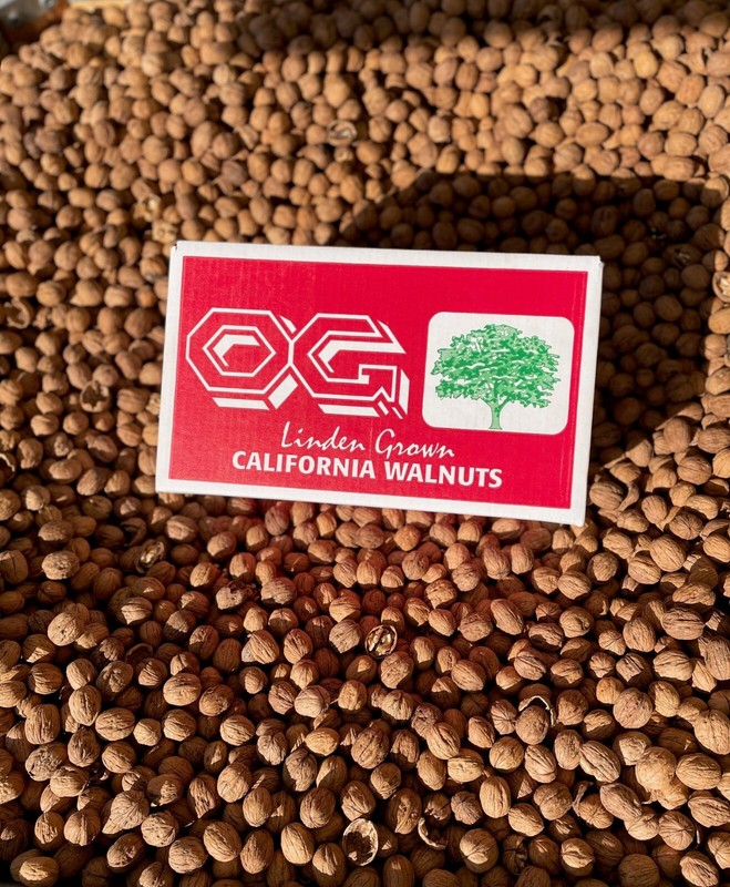 Fresh Crop Shelled Walnuts – 25 lbs