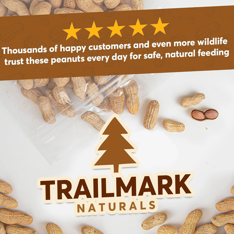 25 LB - Raw Peanuts for Squirrels, Raw in Shell Peanuts for Birds and Wildlife- gallery