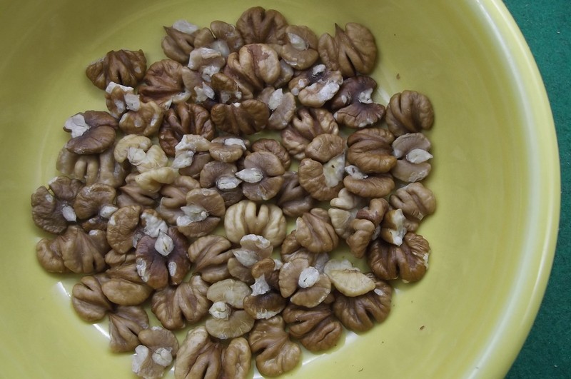 Hickory Nuts, 20 Seed/Cracking Unshelled & 1 oz Shelled, Sampler Pack. 2025 Crop gallery