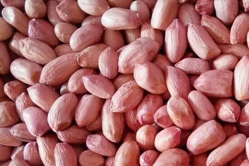 100% Natural Peanut Groundnut Fresh Whole Raw Peanuts Best Quality Dry Fruit