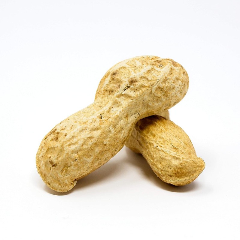Healthy 2.5lb Unsalted Raw Peanuts in Shell for Squirrel Feeding Adventures gallery