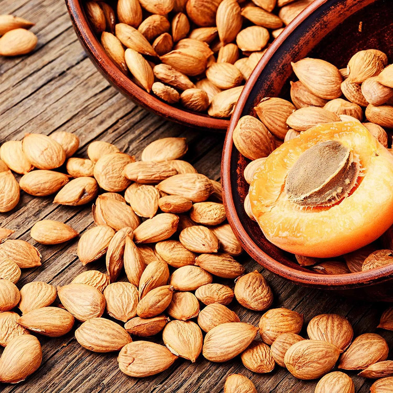 Organic BITTER Apricot Kernels 16 Oz, Whole Raw Apricot Seeds, Sun Dried, Kosher gallery
