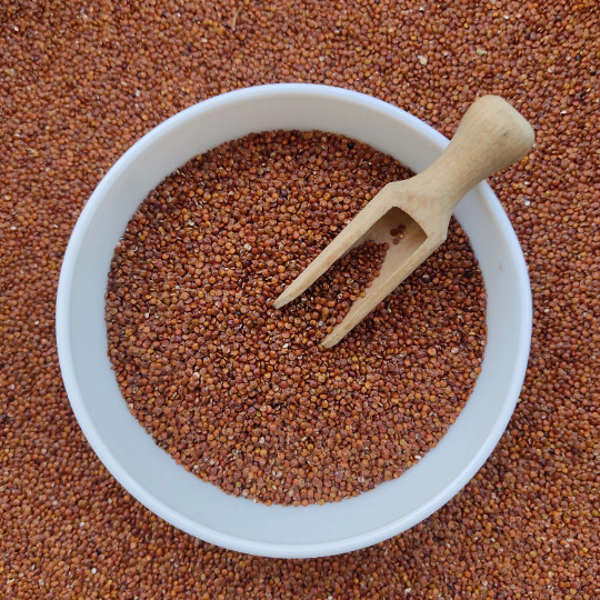 Organic Red Quinoa Seeds 25g – 1980g Chenopodium Quinoa {Certified}