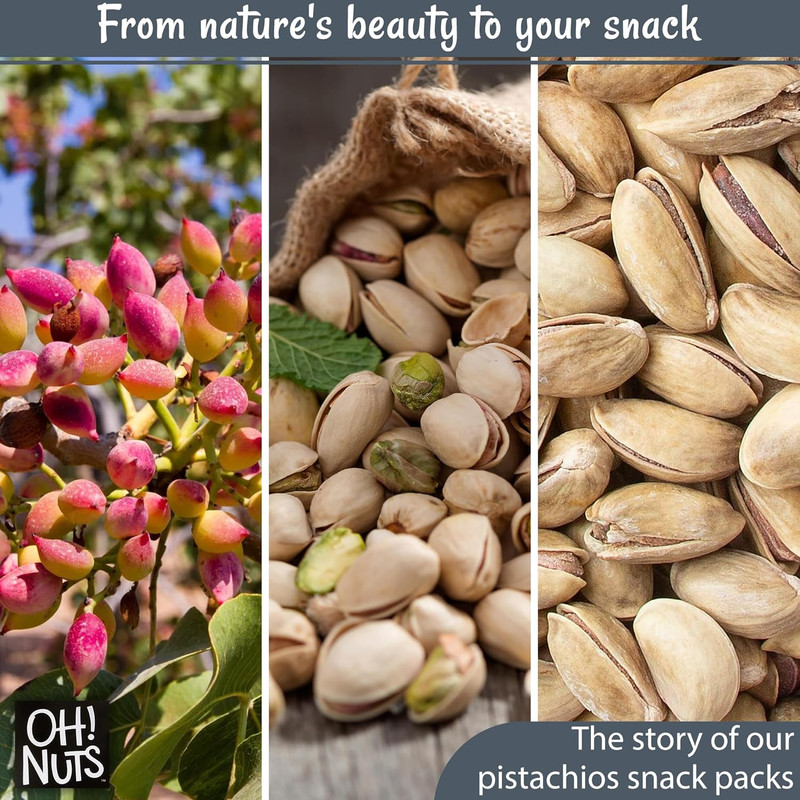 2 LB Specialty Pistachios Finely Salted | Imported Turkish Antep Pistachios Roas gallery