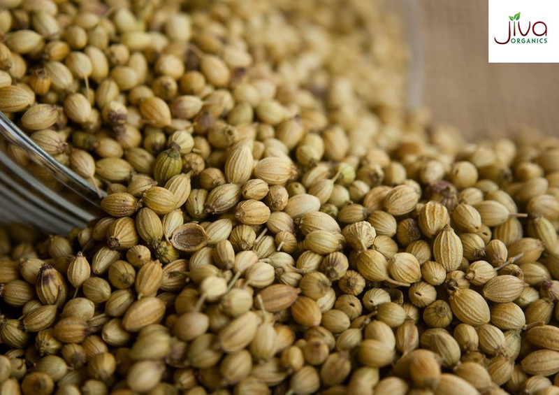 Jiva Organics Organic Coriander Seeds Whole 1.25 Pound Bulk Bag - Non-Gmo gallery