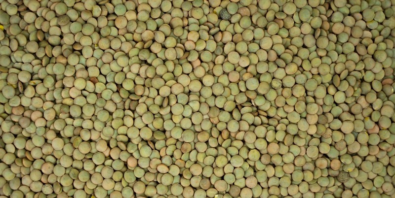 Green Lentils Brown Lentils, All Natural, Non-GMO, Kosher gallery