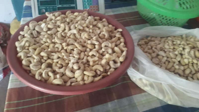 cashew nut sri lanka gallery