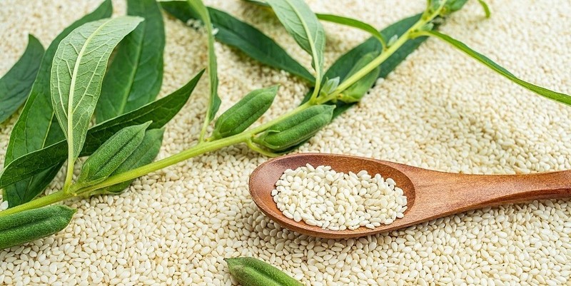 Raw Sesame Seeds White-Hulled 100% Organic Healthy High Quality Ceylon New 1Kg gallery