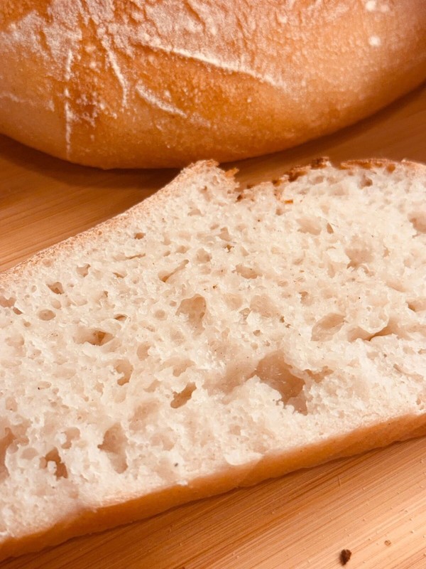 Ancient Gluten Free Sourdough Starter | 240+ Year San Francisco Culture gallery