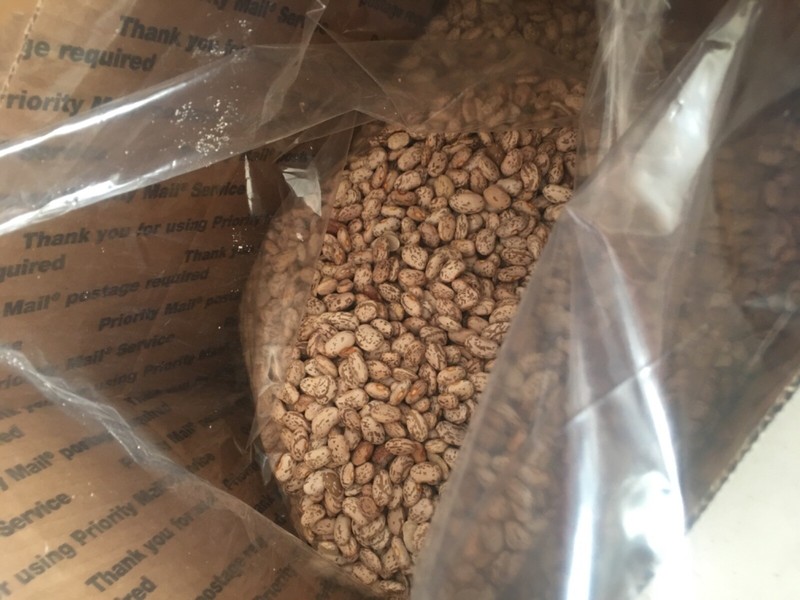 54 lbs Pinto Beans New Triple Clean U.S. No. 1 Crop total 54 pounds El Toro gallery