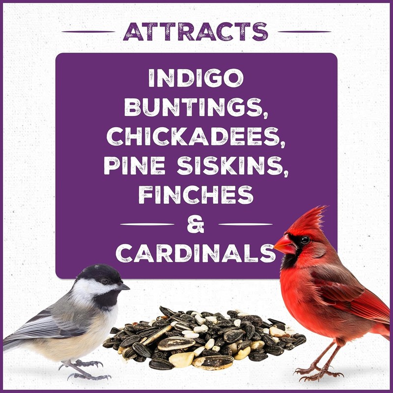 Pennington Pride Songbird Nut & Fruit Blend, Wild Bird Seed for Outside Feeders, gallery