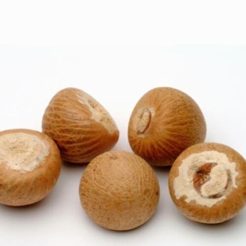 Organic Areca Nuts Natural Fresh & Dried High Quality Ceylon Betal Nuts gallery