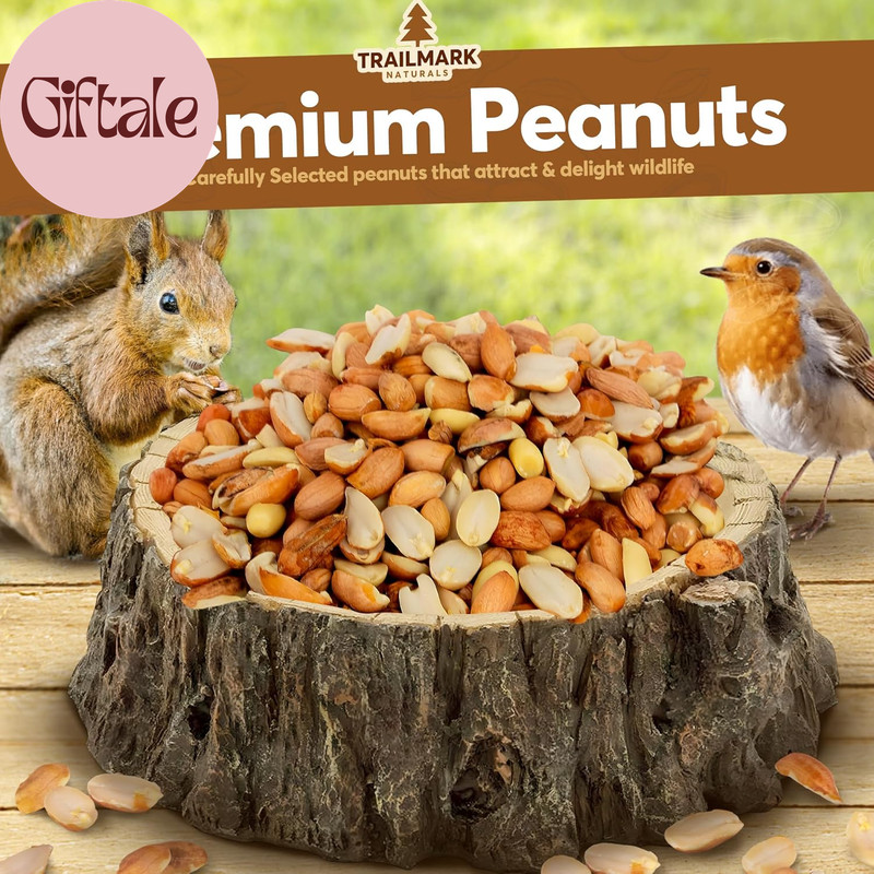 3 LB - Raw Shelled Peanuts for Squirrels, Out of Shell Peanuts for Birds and Wil gallery