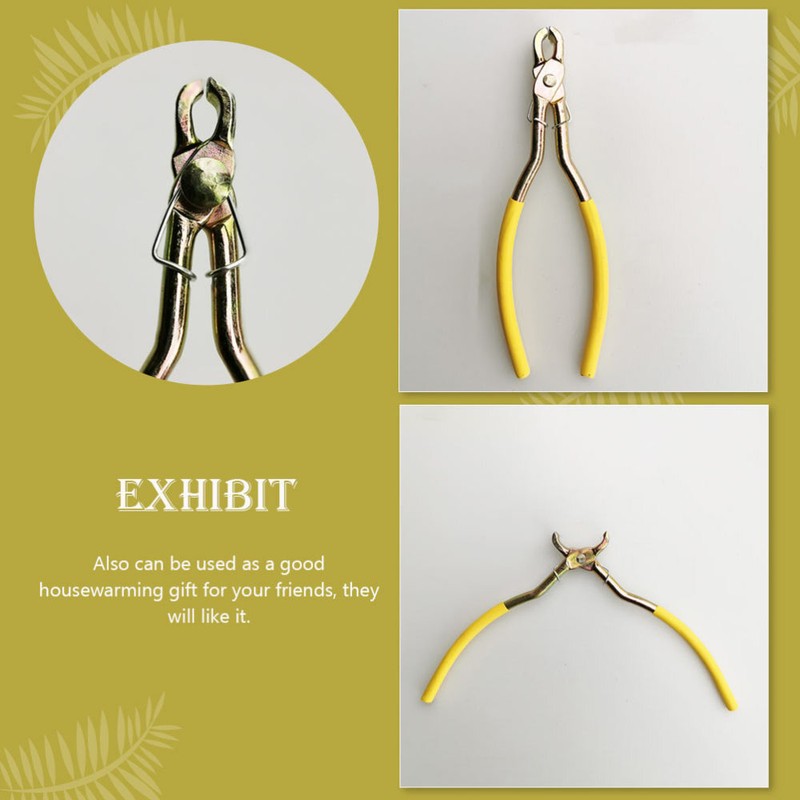 3 Pcs Handheld Nut Opener Pistachio Opener Pine Nut Clip Snack Tool Almond gallery