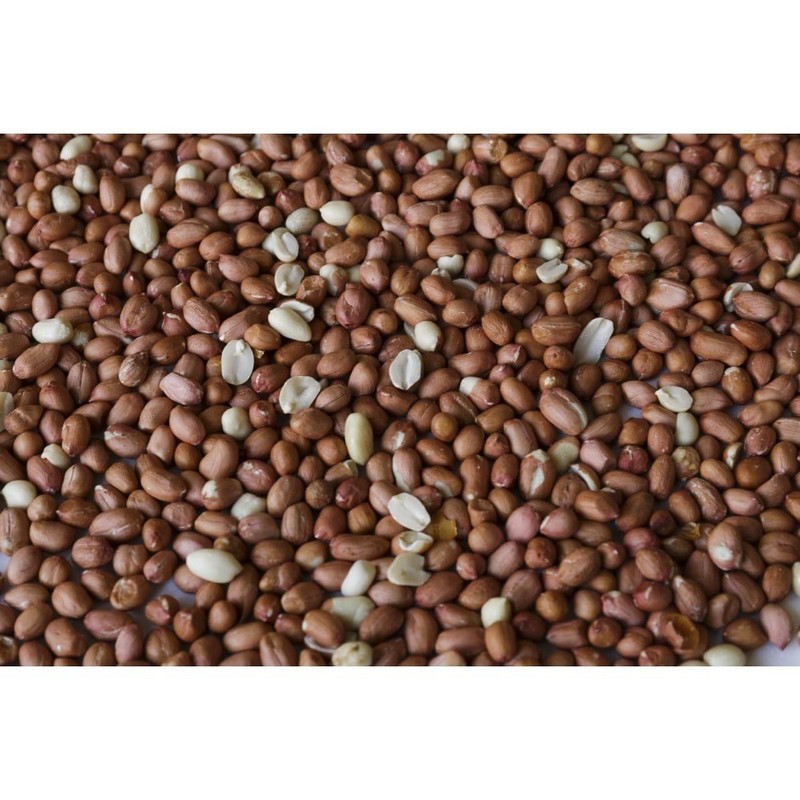 Large 45LB Bulk Bag of Shelled Unsalted for Wildlife Feeding gallery