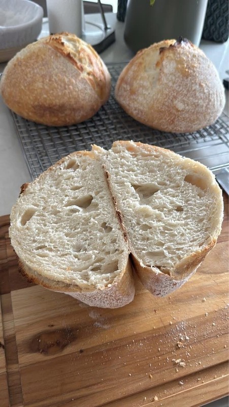 Ancient Gluten Free Sourdough Starter | 240+ Year San Francisco Culture gallery
