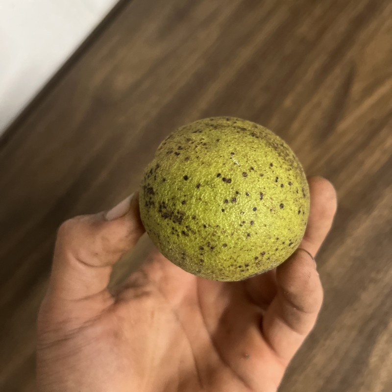 1lb of fresh Walnut, husk removed when picked and purchased Limited Availability gallery