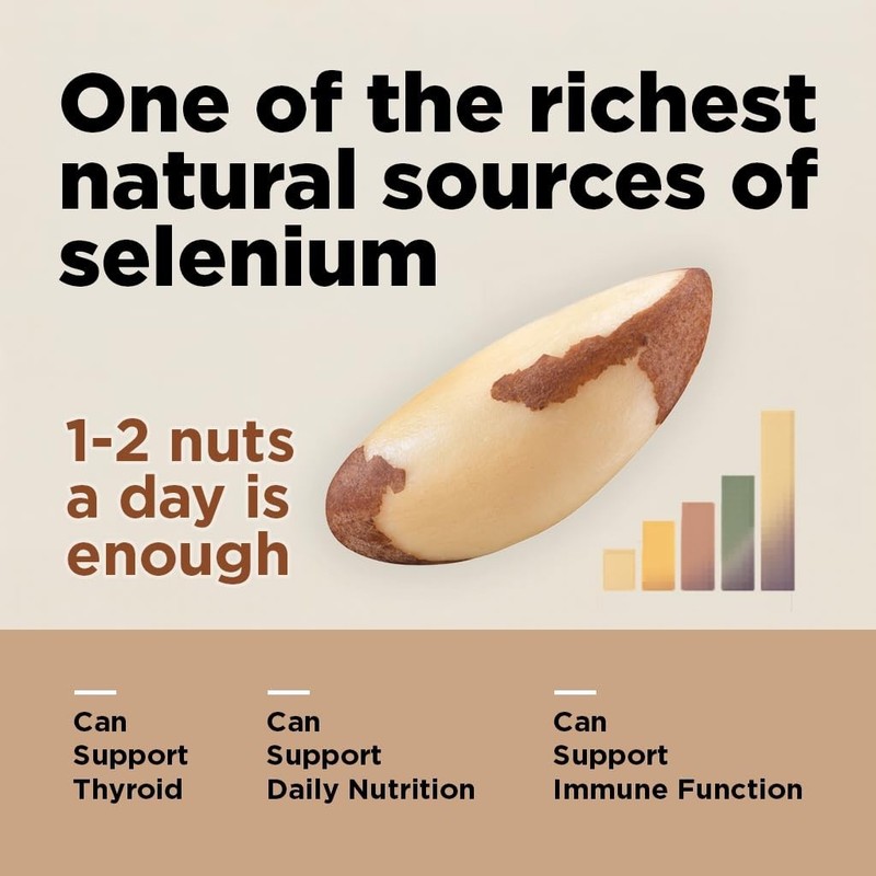 Wild Harvested Raw Brazil Nuts 3 lbs - High Selenium, Non-GMO, Gluten-Free, Kosh gallery