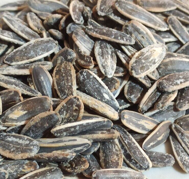 Roasted Salted Jumbo Sunflower Seeds420gr./14oz. Hand Made Holy Land Jerusalem gallery