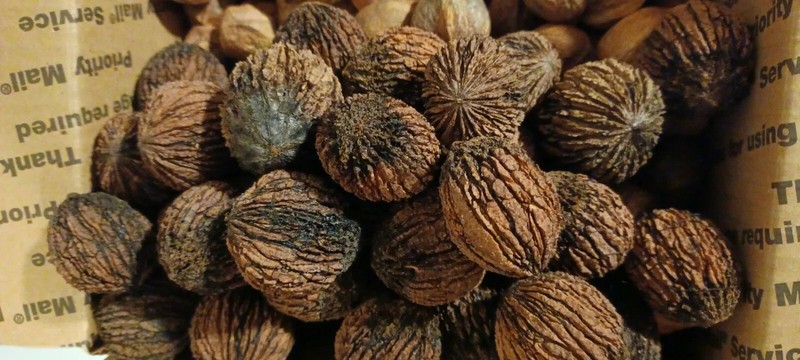 Black Walnuts 15 Lbs hulled, in shell fresh harvest 2025, GA Non GMO ORGANIC gallery