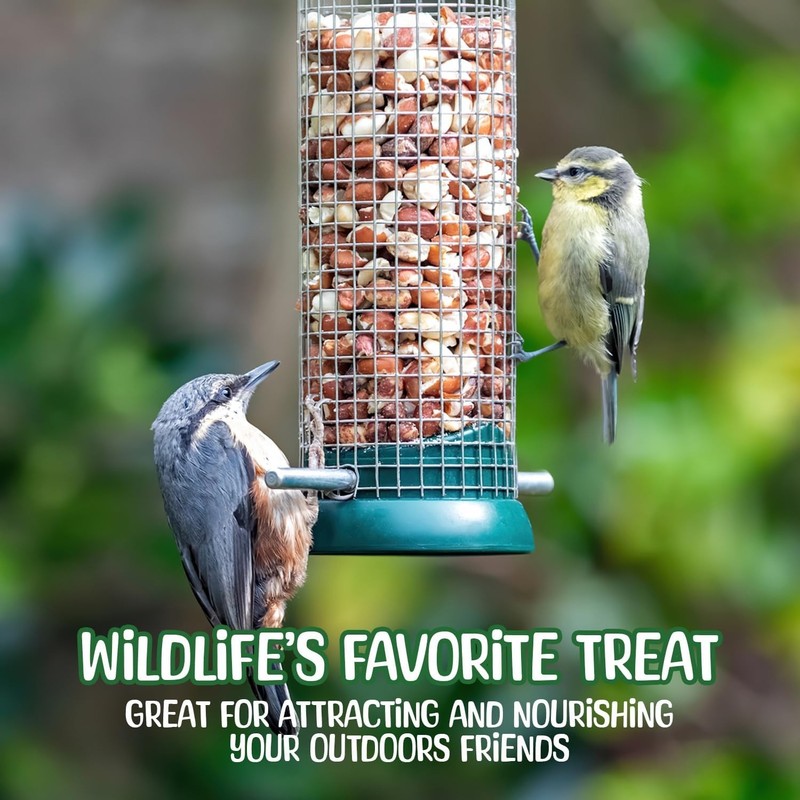 25lb Raw Peanuts in Shell - Quality Wildlife Feed gallery