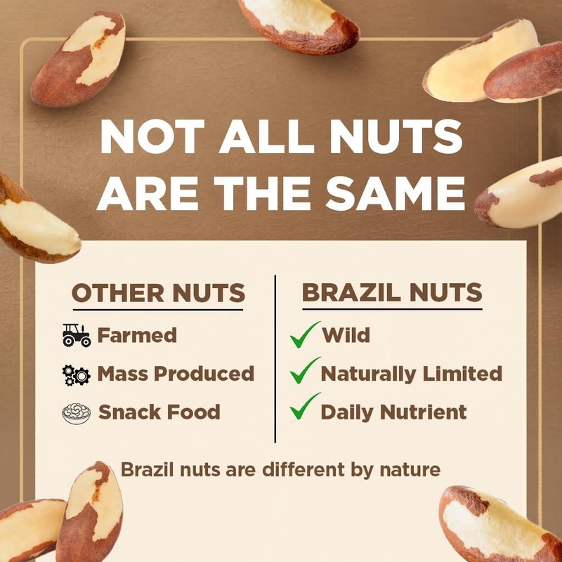 Wild Harvested Raw Brazil Nuts, 1 lb 16oz – High Selenium, Batch Tested Peanu... gallery