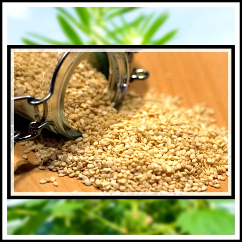 Pure Natrural100% Organic White Sesame seed whole tahini Hight quality premium