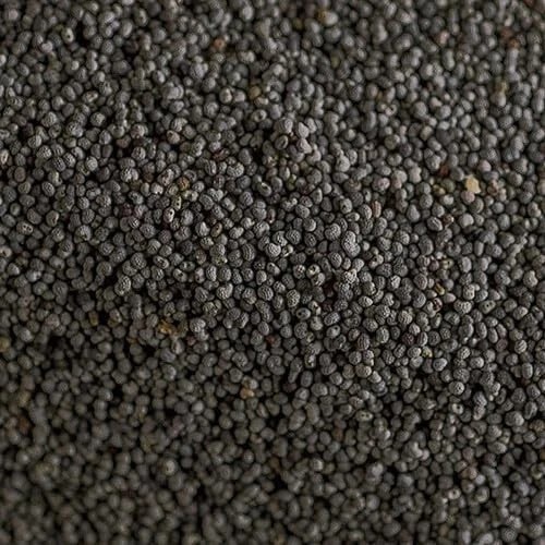 Namo Organics Black Poppy Seeds 100 Gram Khus Khus For Cooking & Baking gallery