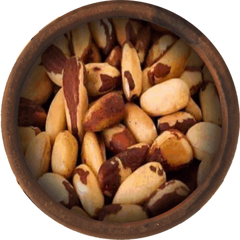 Bulk Brazil Nuts 25 lb Wholesale Box