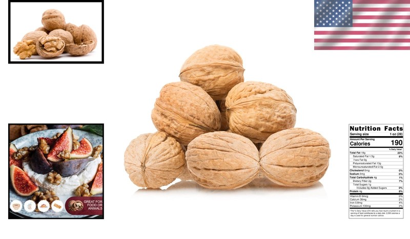 California Walnuts In Shell - Quality 4 lbs gallery