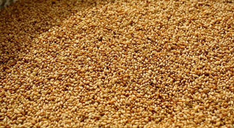 Organic toasted crunchy sesame 3 oz سمسم محمص